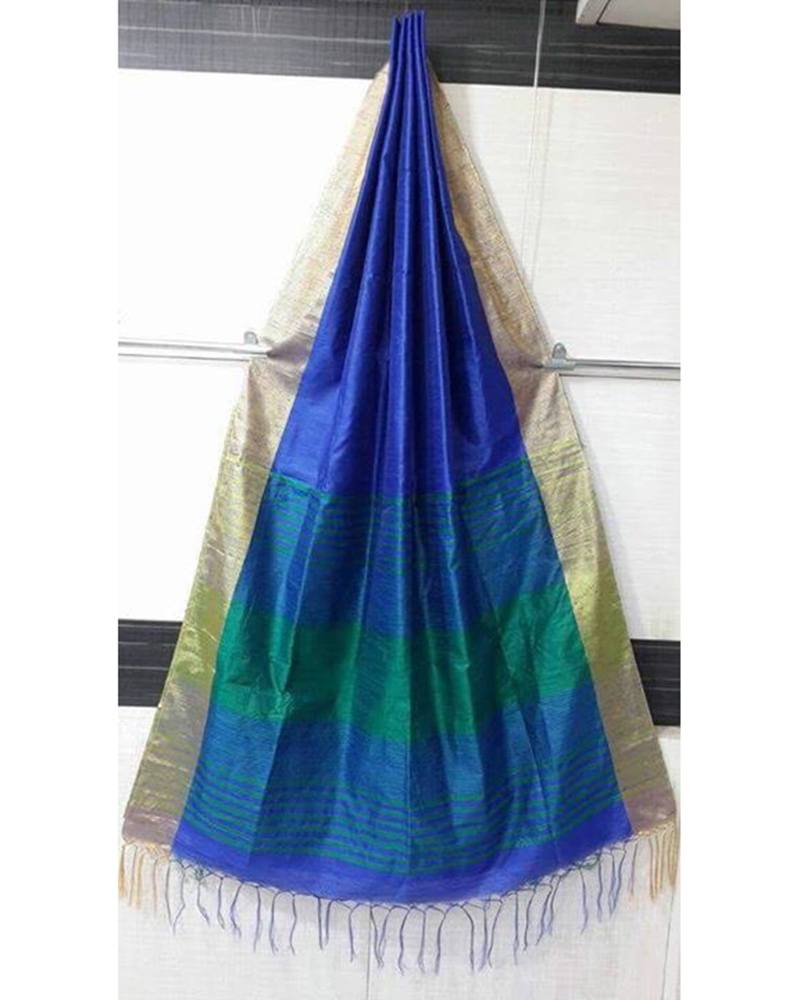 Blue Raw Silk saree
