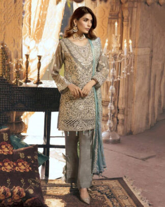 Gray Pakistani Style Net Salwar Kameez